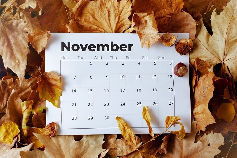 November calendar.jpg